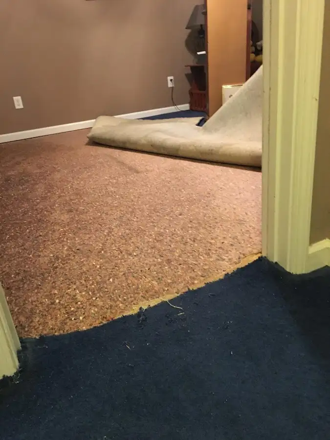 Carpet pad removal revealing water damage during Water Mitigation Services in Eastampton
