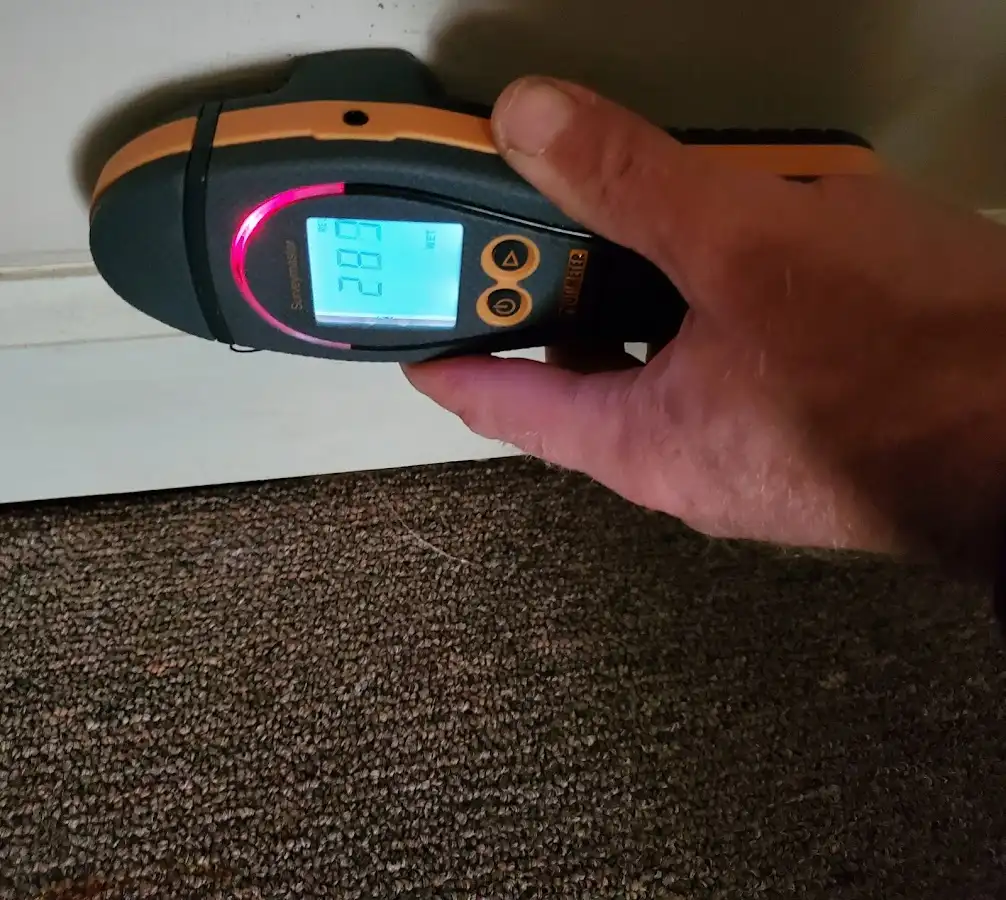 Moisture detection at baseboard during Sewage Cleanup & Sanitation in Eastampton